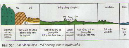 Địa lí 8 Bài 36: Đặc điểm đất Việt Nam là gì ? Nêu đặc điểm chung của đất Việt Nam
