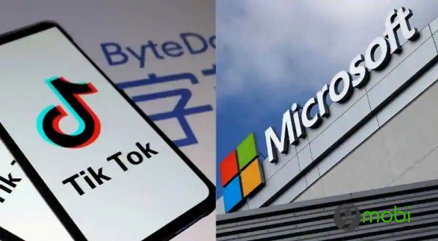 Microsoft xac nhan y dinh mua lai TikTok