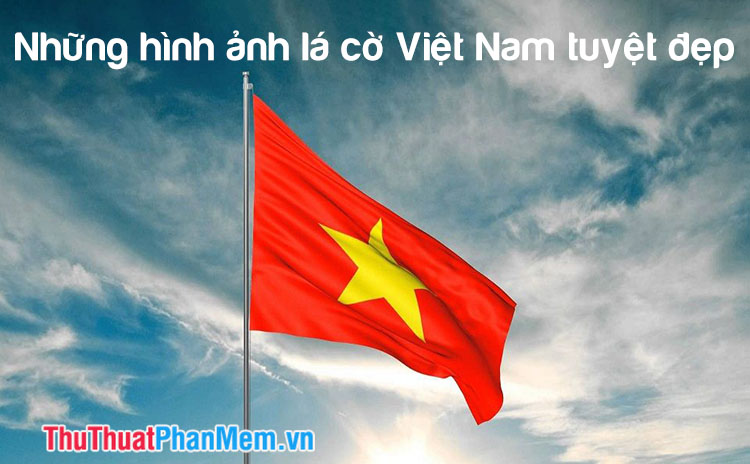 Nhung hinh anh la co Viet Nam tuyet dep