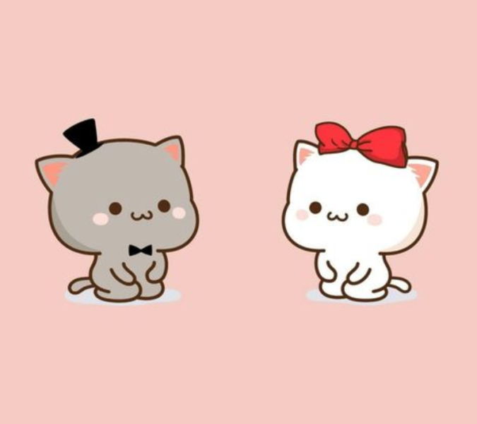 hình ảnh avatar cặp đôi mèo cute dễ thương