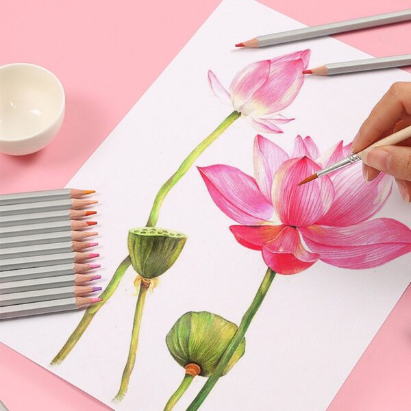Cách vẽ hoa Sen bằng bút màu