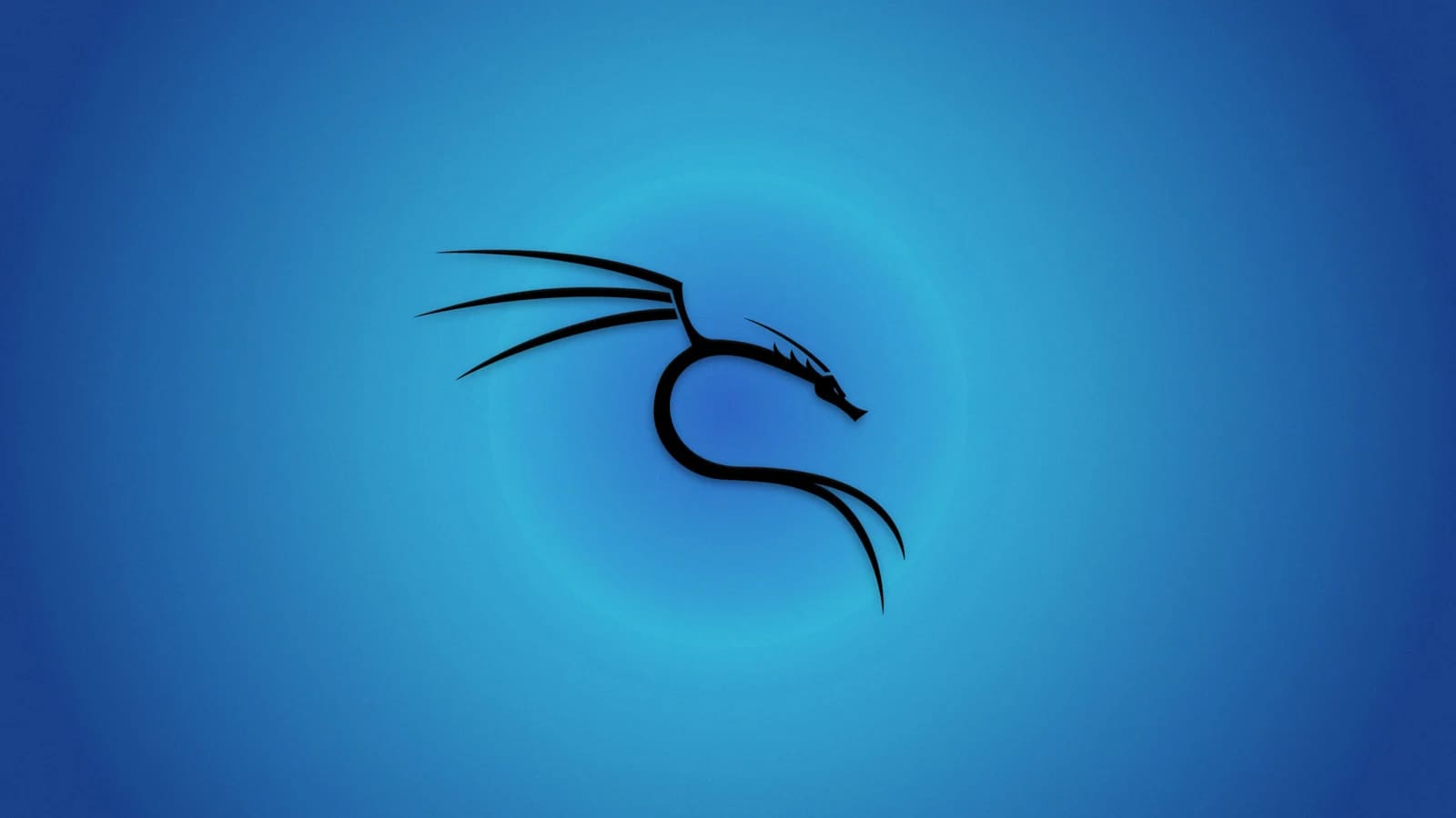 Kali Linux 2021.4 tích hợp thêm 9 Tool mới và hỗ trợ Apple M1