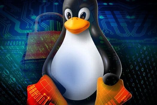 Nâng cấp đặc quyền Linux: SUID
