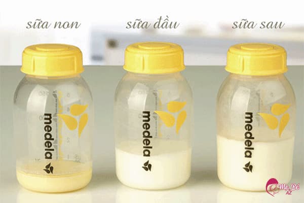 Sữa non sau khi sinh 