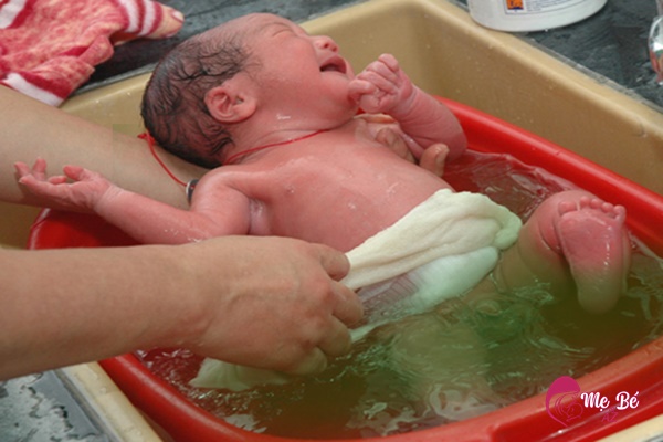Tắm cho trẻ sơ sinh bằng các loại lá cần thực hiện đúng cách